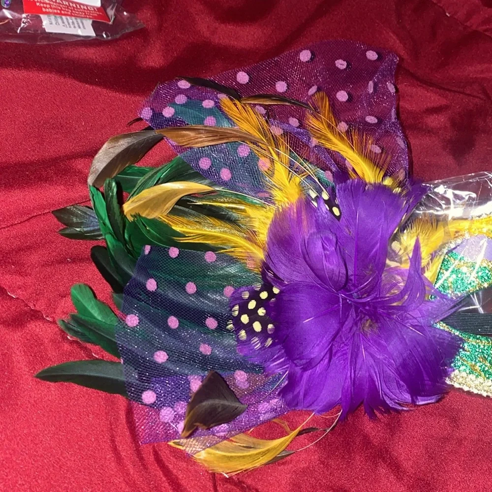 Mardi Gras feathered and lace mask!